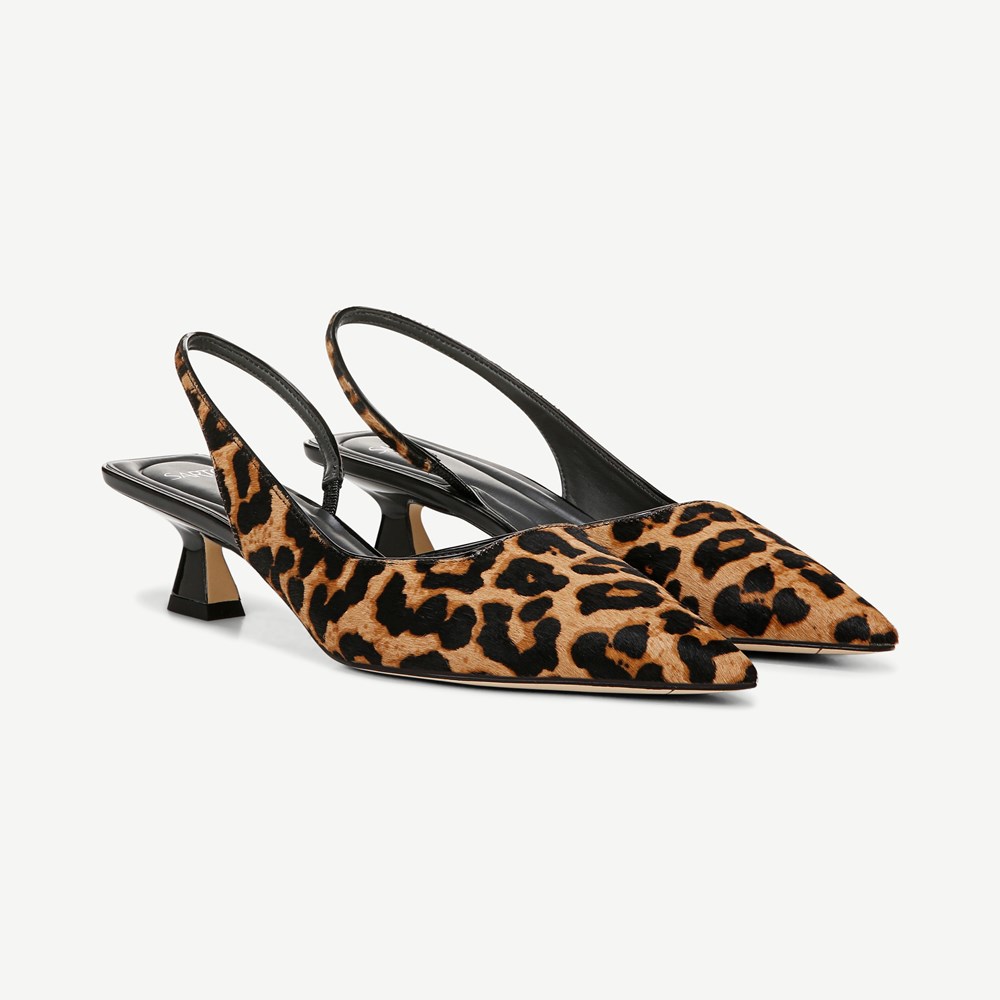 Franco sarto kitten heels online